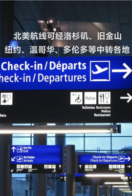 美国国际机票